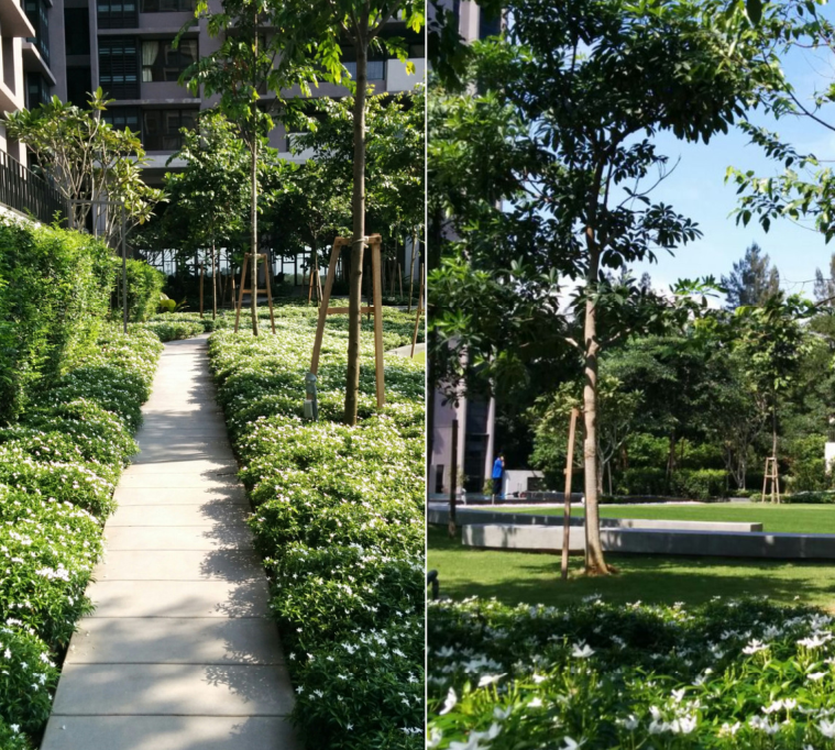 森林的再現(xiàn)-馬來西亞Azelia住宅區(qū)景觀