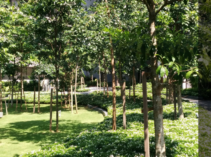 森林的再現(xiàn)-馬來西亞Azelia住宅區(qū)景觀