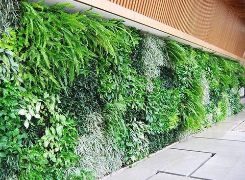 植物墻和垂直綠化是一個概念嗎？