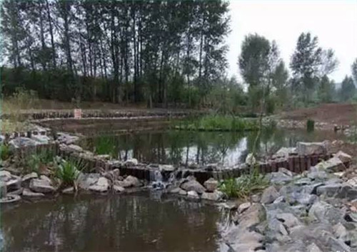 河道生態(tài)棲息地的修復設(shè)計與施工