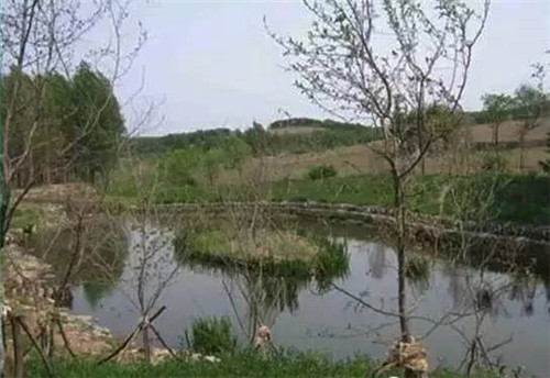 河道生態(tài)棲息地的修復設(shè)計與施工
