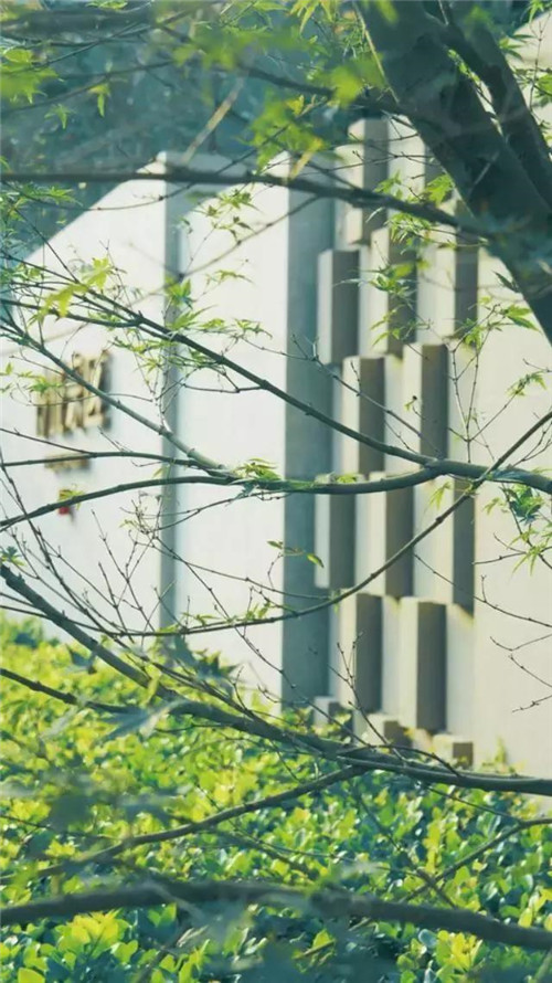 景觀設計中老師如何教？學生如何學？