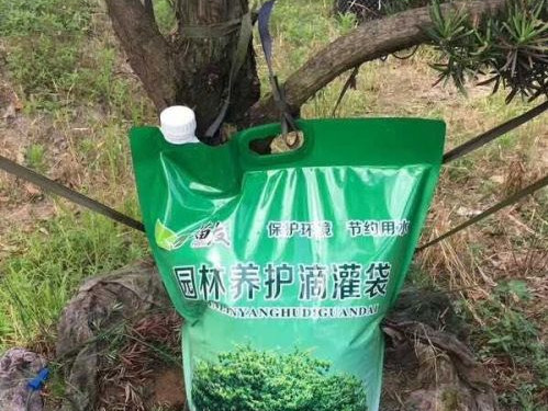 浙江金華一苗農(nóng)研制出移動(dòng)園林養(yǎng)護(hù)滴灌袋