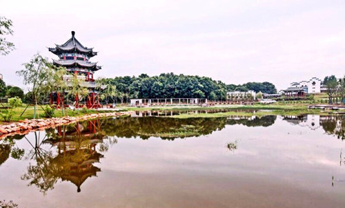園冶杯專業(yè)獎(jiǎng)：金溪縣香樟森林公園景觀設(shè)計(jì)