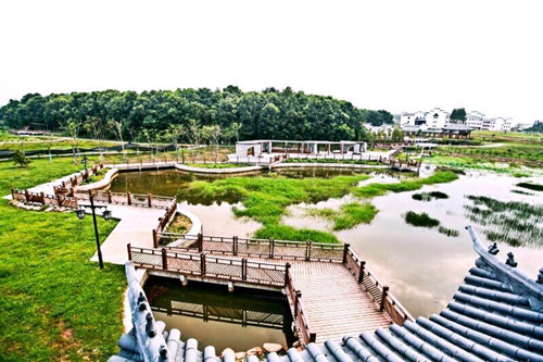 園冶杯專業(yè)獎(jiǎng)：金溪縣香樟森林公園景觀設(shè)計(jì)