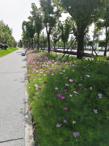 園冶杯專業(yè)獎(jiǎng)：梅溪湖路西延線道路景觀設(shè)計(jì)