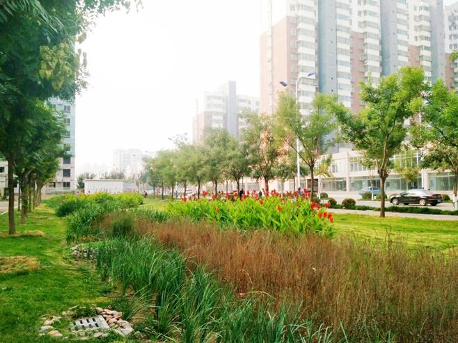 遷安市市政廣場西側(cè)公建區(qū)雨水改造工程