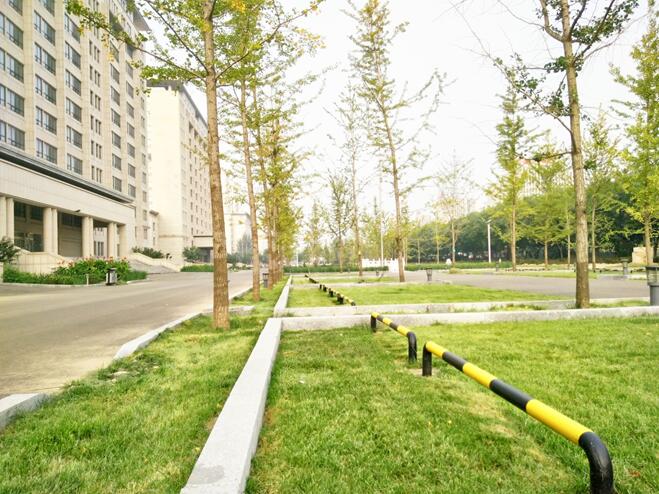 遷安市市政廣場西側(cè)公建區(qū)雨水改造工程