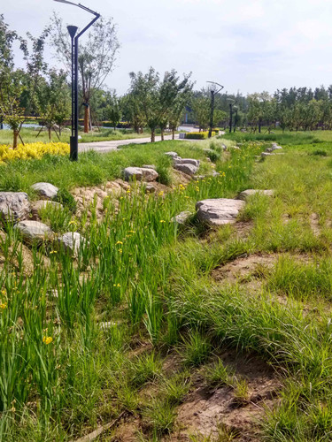 園冶杯專業(yè)獎：固安迎賓大道街角北、南公園