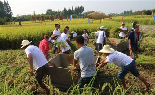 關(guān)于休閑農(nóng)業(yè)的盈利模式？