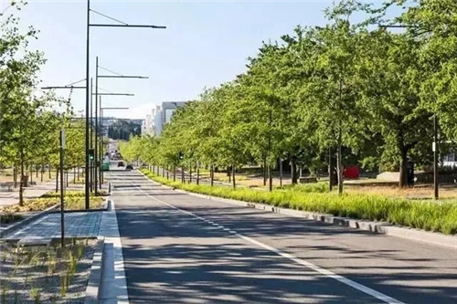 國(guó)外街道景觀改造，為何如何讓人津津樂(lè)道？