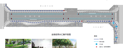 劉怡：城市雙修中“見縫插針”式的生態(tài)修復