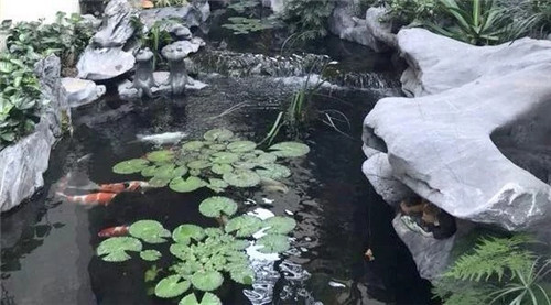 庭院設計水景有什么優點？