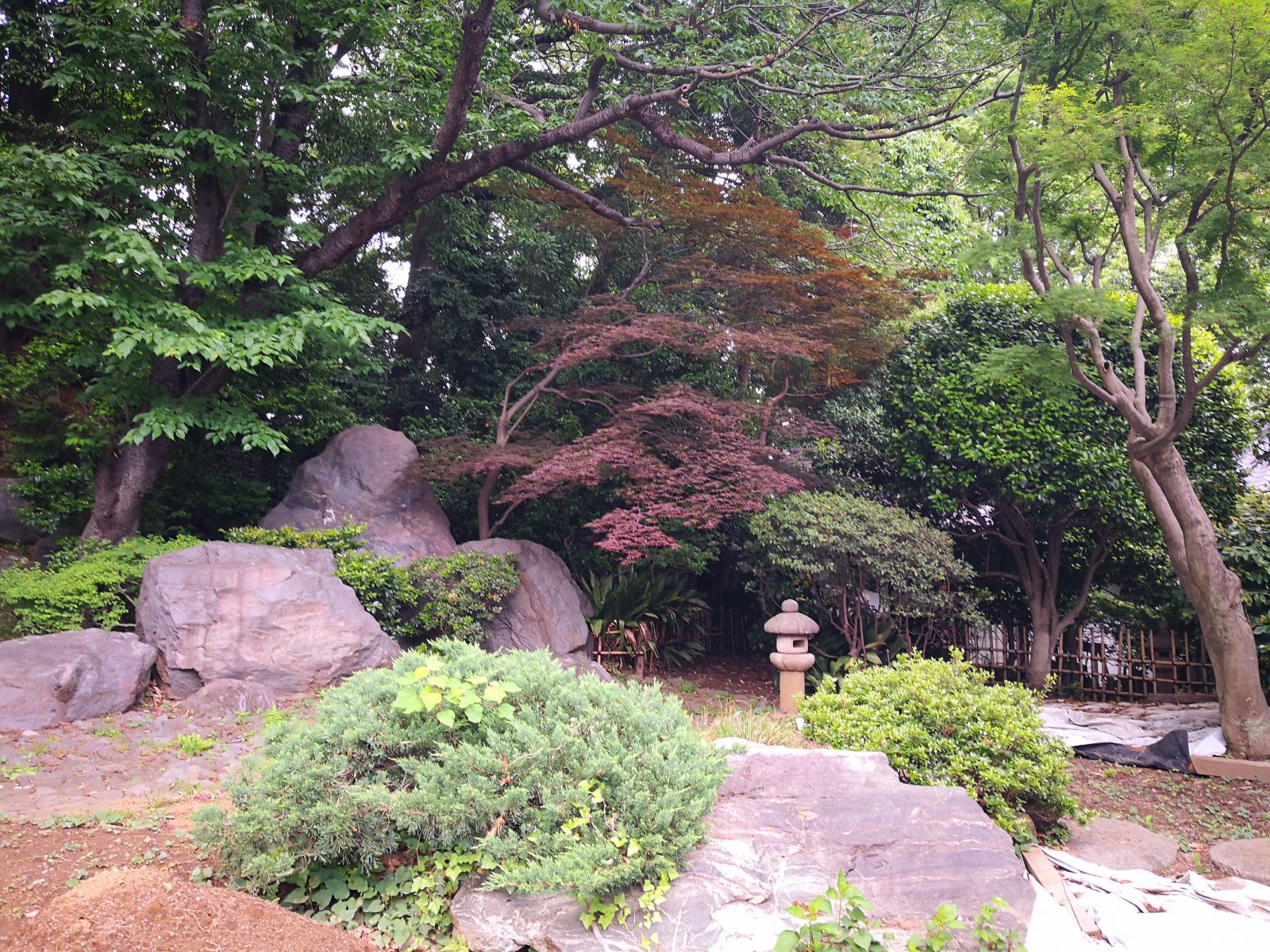 感受日本現(xiàn)代景觀和知名建筑 對(duì)話禪僧大師枡野俊明
