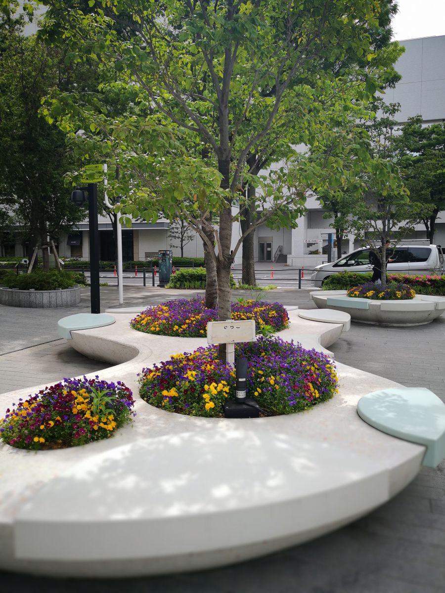 感受日本現(xiàn)代景觀和知名建筑 對(duì)話禪僧大師枡野俊明