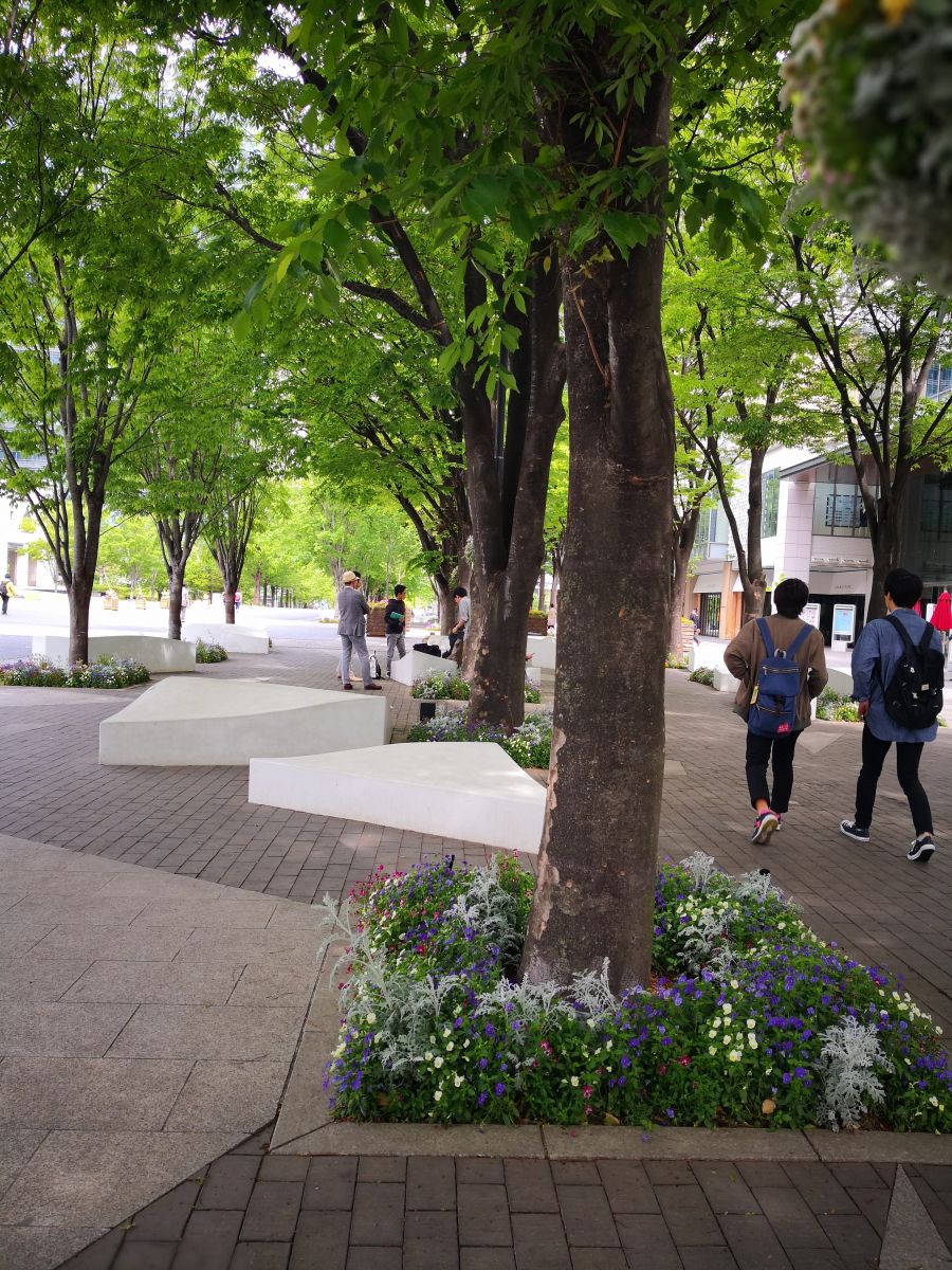 感受日本現(xiàn)代景觀和知名建筑 對(duì)話禪僧大師枡野俊明