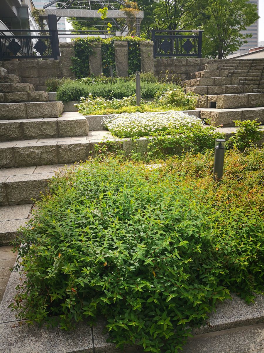 感受日本現(xiàn)代景觀和知名建筑 對(duì)話禪僧大師枡野俊明