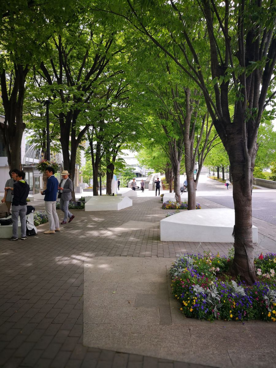 感受日本現(xiàn)代景觀和知名建筑 對(duì)話禪僧大師枡野俊明