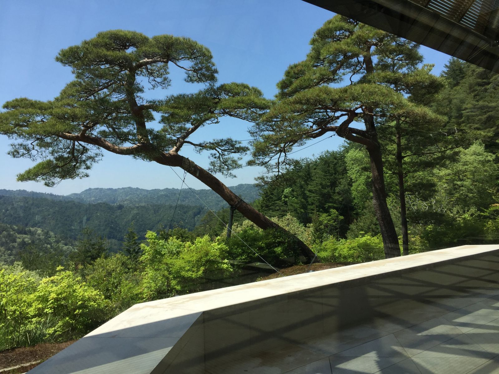 感受日本現(xiàn)代景觀和知名建筑 對(duì)話禪僧大師枡野俊明