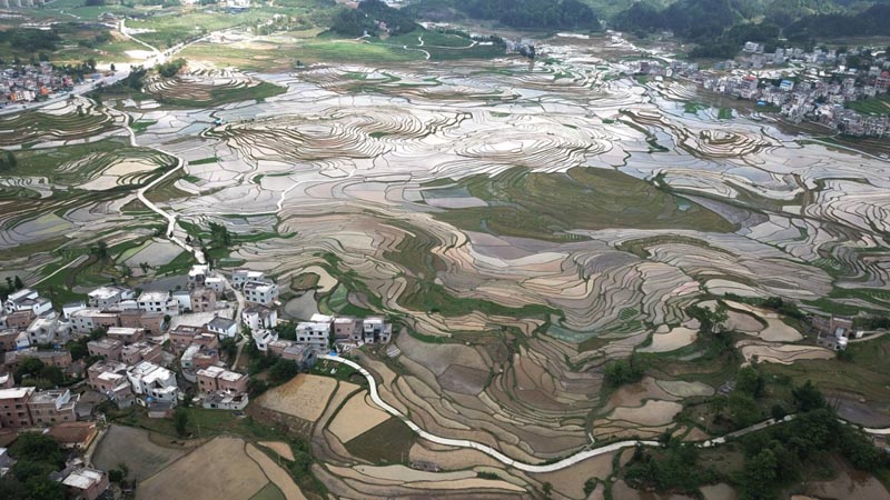 廣西南丹：巴平梯田美如畫(huà)