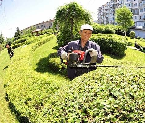 園林植物的養(yǎng)護(hù)管理措施