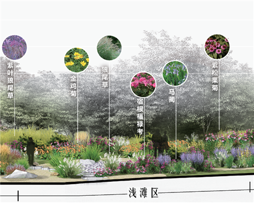河北省第二屆（秦皇島）園博會花境創(chuàng)意作品——山海境