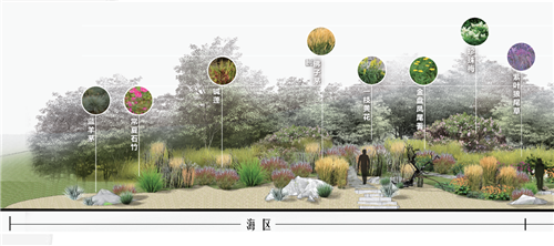河北省第二屆（秦皇島）園博會花境創(chuàng)意作品——山海境