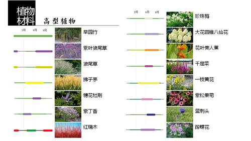 河北省第二屆（秦皇島）園博會花境創(chuàng)意作品——山海境