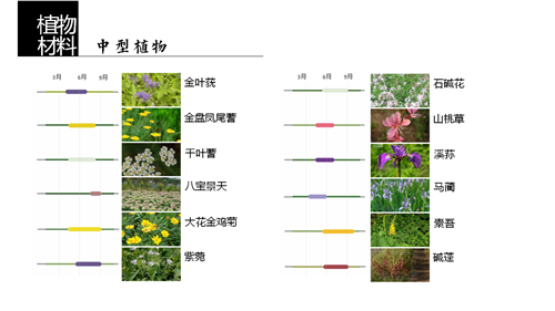 河北省第二屆（秦皇島）園博會花境創(chuàng)意作品——山海境