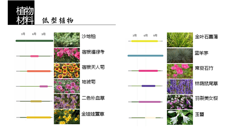 河北省第二屆（秦皇島）園博會花境創(chuàng)意作品——山海境