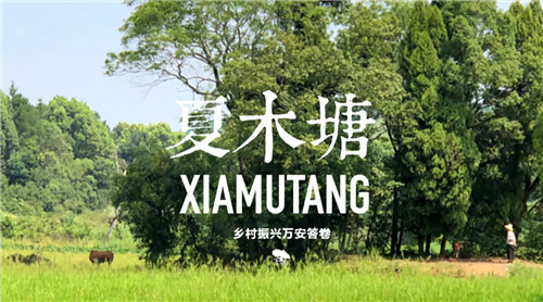 鄉(xiāng)村為底圖，設(shè)計為橋梁：2018第三屆國際高校建造大賽結(jié)果揭曉