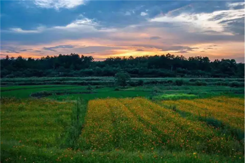 鄉(xiāng)村為底圖，設(shè)計為橋梁：2018第三屆國際高校建造大賽結(jié)果揭曉