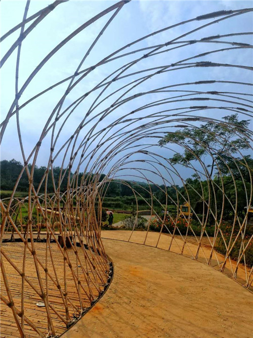 鄉(xiāng)村為底圖，設(shè)計為橋梁：2018第三屆國際高校建造大賽結(jié)果揭曉