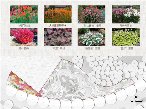 河北省第二屆（秦皇島）園博會花境創(chuàng)意作品——山海側(cè)　花間頤心