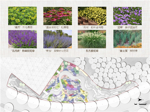 河北省第二屆（秦皇島）園博會花境創(chuàng)意作品——山海側(cè)　花間頤心