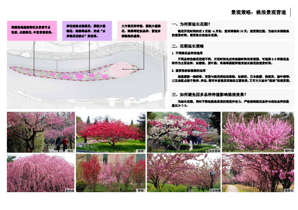 園冶杯專業(yè)獎(jiǎng)：衡陽市東洲島綜合開發(fā)項(xiàng)目景觀設(shè)計(jì)