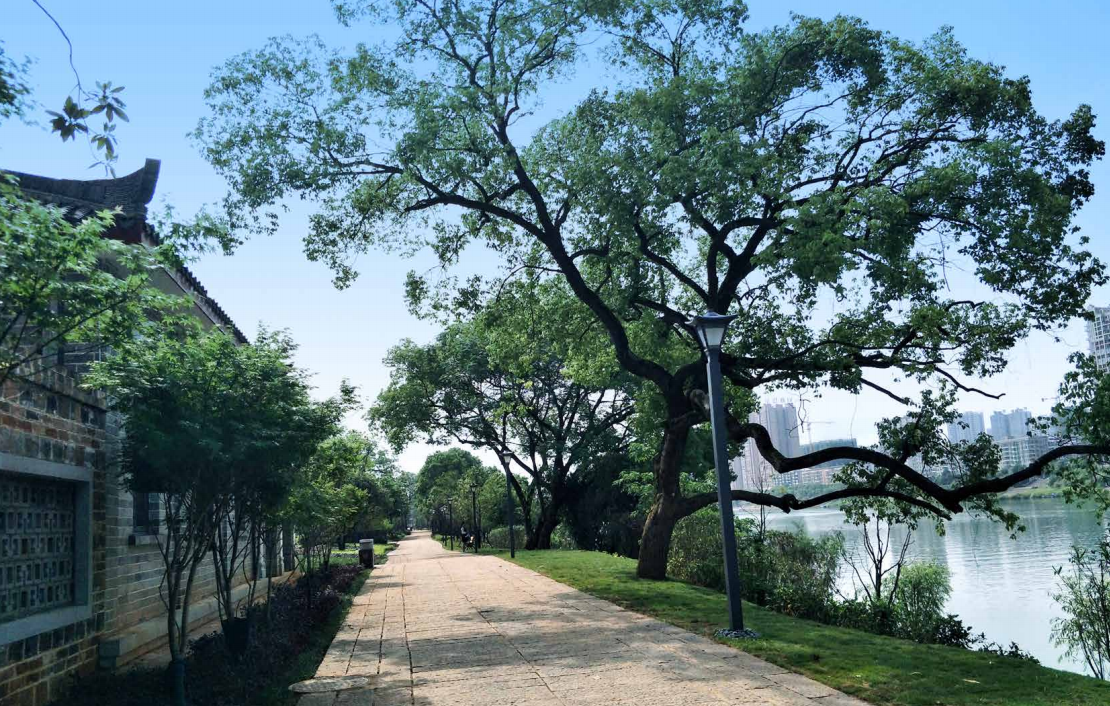 園冶杯專業(yè)獎(jiǎng)：衡陽市東洲島綜合開發(fā)項(xiàng)目景觀設(shè)計(jì)