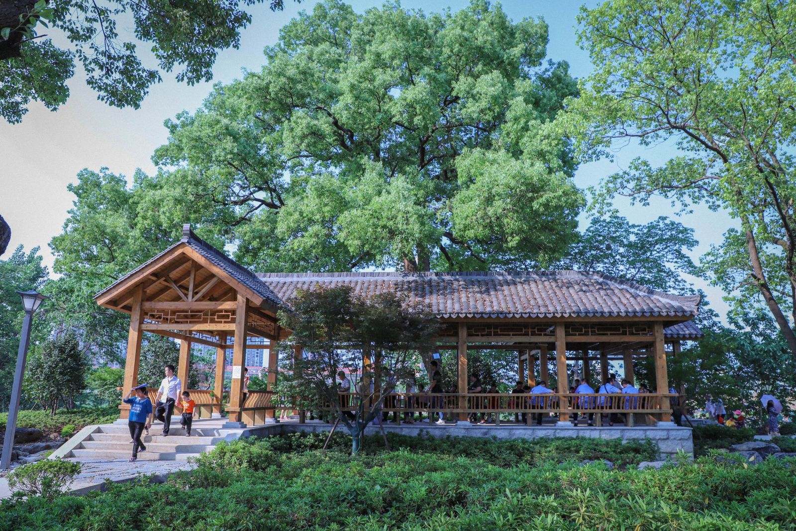 園冶杯專業(yè)獎(jiǎng)：衡陽市東洲島綜合開發(fā)項(xiàng)目景觀設(shè)計(jì)