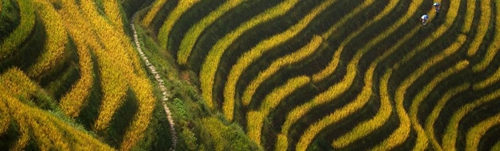 AECOM：廣西陽(yáng)朔悅榕莊酒店景觀設(shè)計(jì)