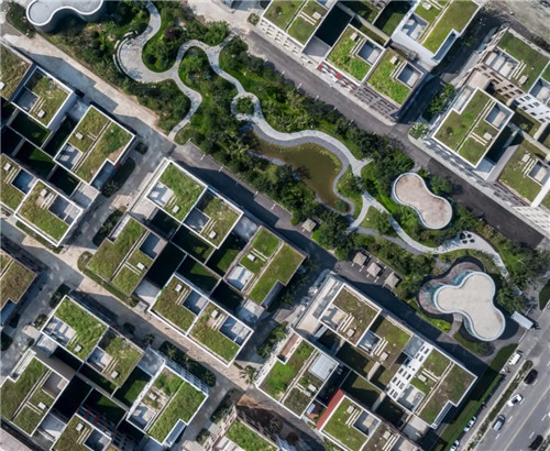 陳凌：“行走”的城市好的建筑街邊生長(zhǎng)