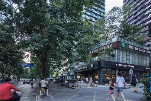 陳凌：“行走”的城市好的建筑街邊生長(zhǎng)