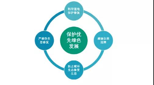 鮑達(dá)明：加強(qiáng)濕地保護(hù)，促進(jìn)綠色發(fā)展