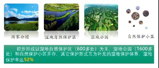 鮑達(dá)明：加強(qiáng)濕地保護(hù)，促進(jìn)綠色發(fā)展