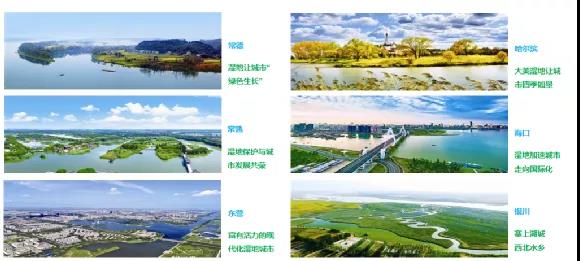 鮑達(dá)明：加強(qiáng)濕地保護(hù)，促進(jìn)綠色發(fā)展