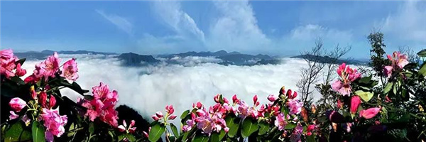 瀘古高速服務(wù)區(qū)及周邊地塊城市設(shè)計(jì)競(jìng)賽，邀您參加