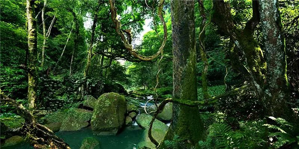 瀘古高速服務(wù)區(qū)及周邊地塊城市設(shè)計(jì)競(jìng)賽，邀您參加