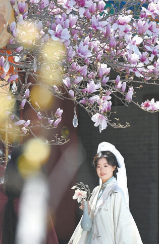 京畿大地“花式解鎖”春日經(jīng)濟