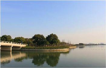 精品園林獎(jiǎng)金獎(jiǎng)：太湖新城蘇州灣大堤綠化景觀工程