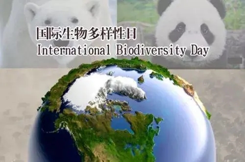 為什么要攜手保護生物多樣性？