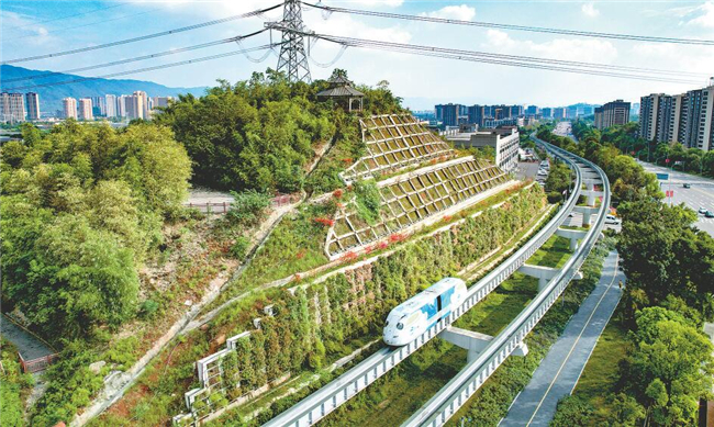 重慶推進(jìn)科學(xué)綠化試點示范市建設(shè)